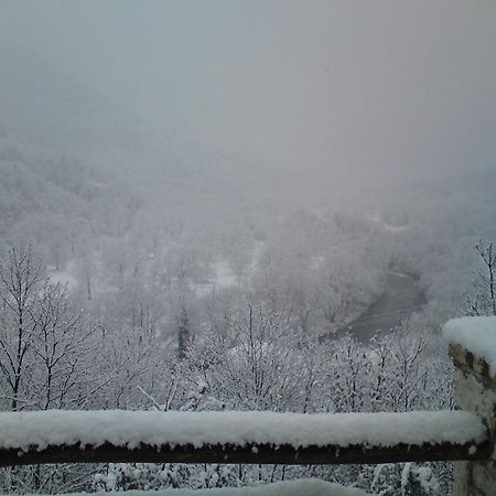 Rizoma Guesthouse Mikro Chorio  ภายนอก รูปภาพ