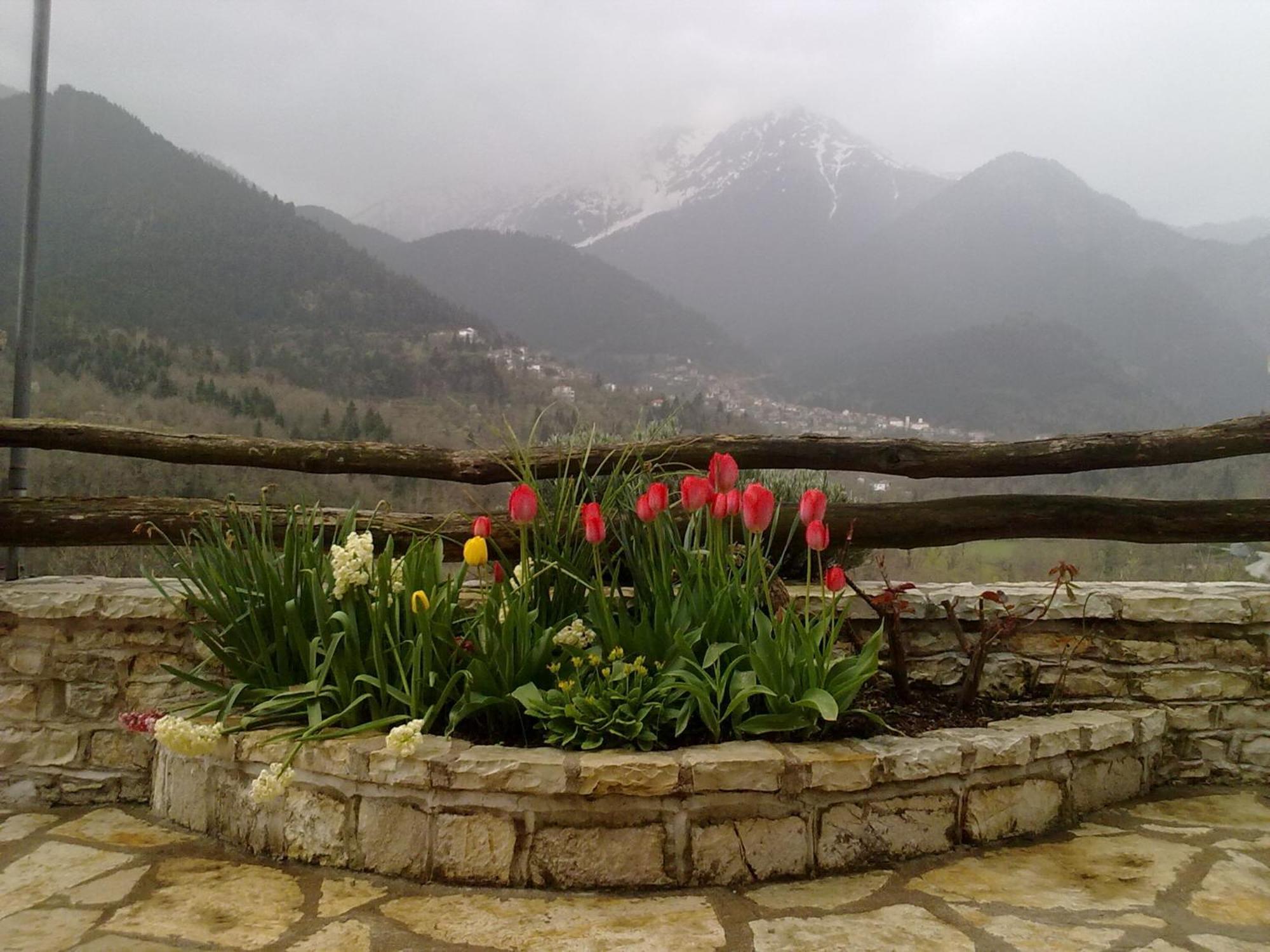Rizoma Guesthouse Mikro Chorio  ภายนอก รูปภาพ